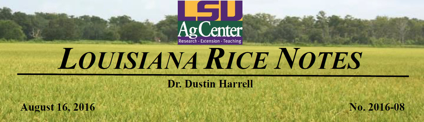 2016 Lousiana Rice Field Notes #8 - Flood Edition